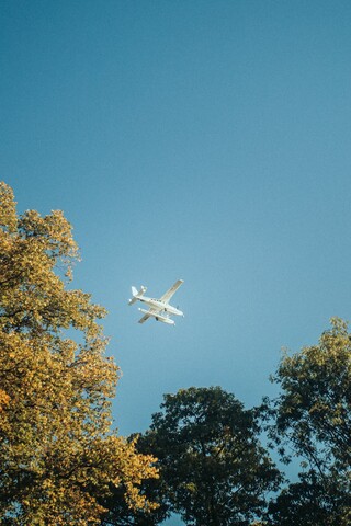 Ein weißes Wasserflugzeug fliegt im blauen Himmel über einer Baumreihe.