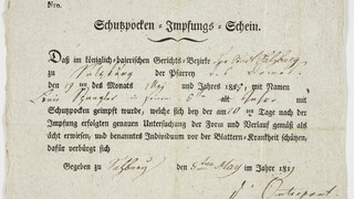 Altes Schriftstück mit dem Titel "Schusspocken-Impfungs-Schein"