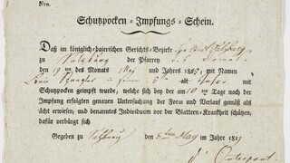 Altes Schriftstück mit dem Titel "Schusspocken-Impfungs-Schein"