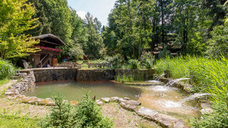 Grün bewachsener Garten mit Teich und Holzhütte vor einem Wald